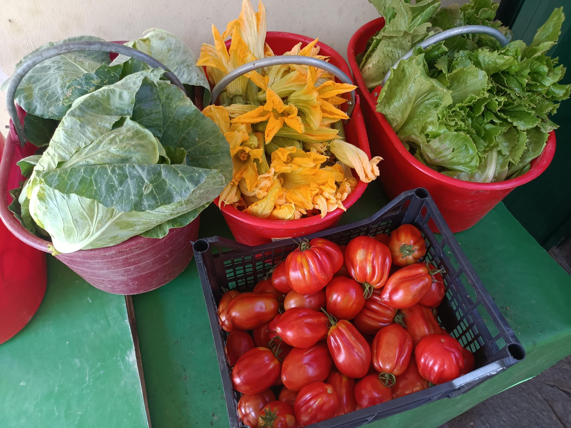 Ortaggi e pomodori di nostra produzione